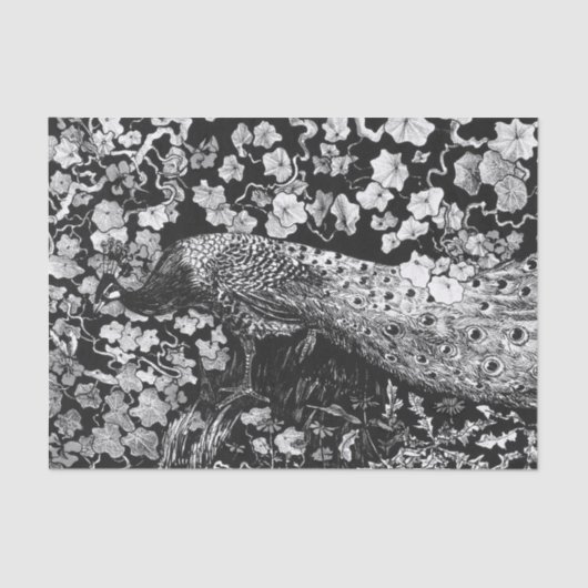 Weefselpapier, ZWART EN WITTE PEACOCK Tissuepapier (Voorkant)