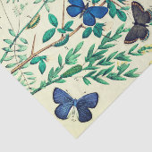 Weefselpapieren  vlinderontwerp tissuepapier (Detail)