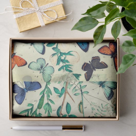 Weefselpapieren vlinderontwerp tissuepapier (Geschenk)