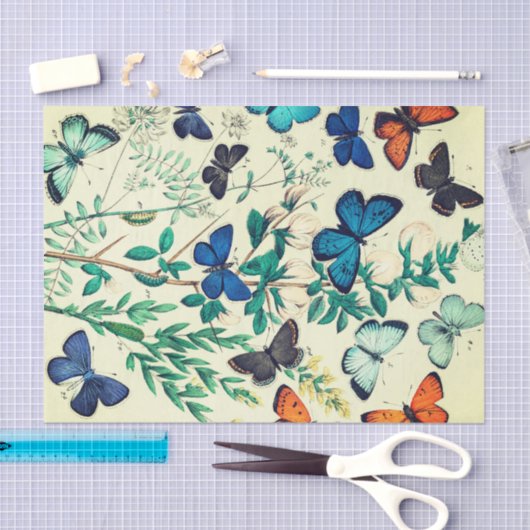 Weefselpapieren vlinderontwerp tissuepapier (Craft)