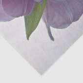 Weefselpapierladingen ondersteboven tissuepapier (Detail)