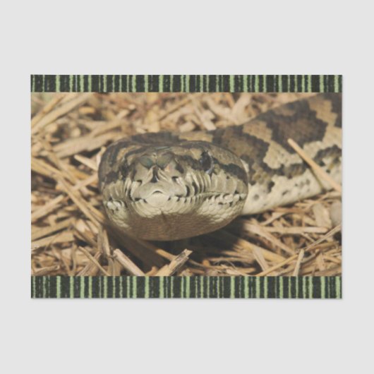 Weefselpapierslangen Tissuepapier (Voorkant)