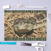 Weefselpapierslangen Tissuepapier (Craft)