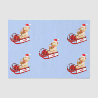 WeefselpapierTeddy Beer met kerstcadeau Tissuepapier