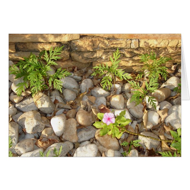 Weefsels (Voorkant Horizontaal)