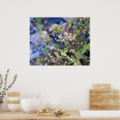 Weefsels Poster (Keuken)