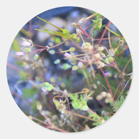 Weefsels Ronde Sticker (Voorkant)