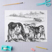 Weefsels van de  koeien van het land tissuepapier (Craft)