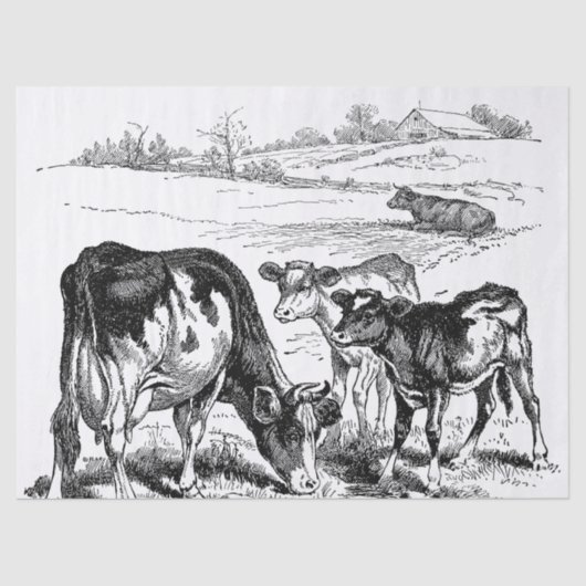 Weefsels van de  koeien van het land tissuepapier (Voorkant)