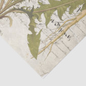 Weefselvellen met depots voor deduplicatie van het tissuepapier (Detail)