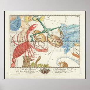 Weegblad, kanker en naburige sterren poster