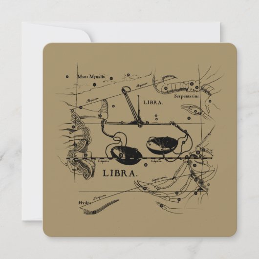 Weegconstellatie Hevelius Style (Voorkant)