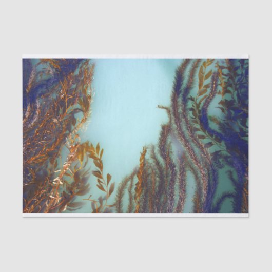 Weegpapier Tissuepapier (Voorkant)