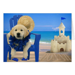 Week 8 - Beach Donnie