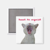 Week! Een organist! Magneet (Voorkant / Achterkant)