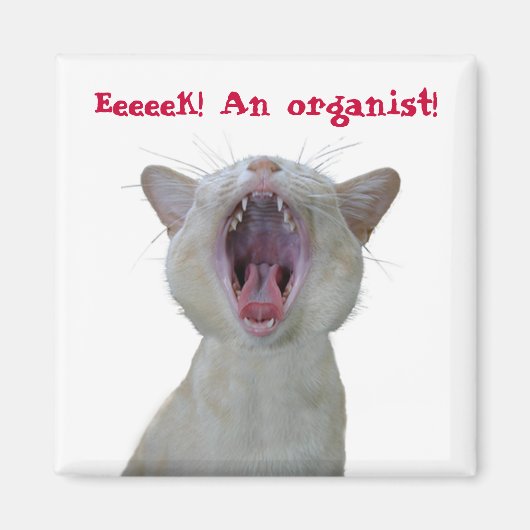 Week! Een organist! Magneet (Voorkant)