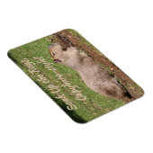 Week op de Stralen, Capybara-stijl! Magneet (Rechterzijde)