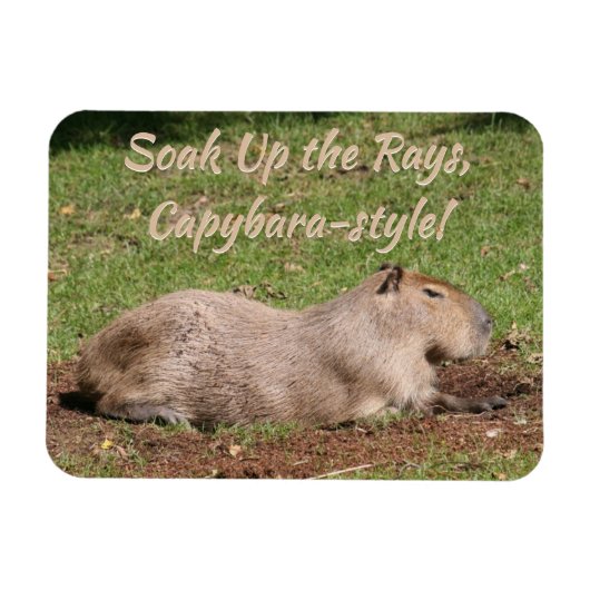 Week op de Stralen, Capybara-stijl! Magneet (Horizontaal)