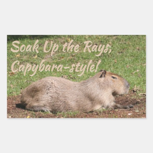 Week op de Stralen, Capybara-stijl! Rechthoekige Sticker (Voorkant)