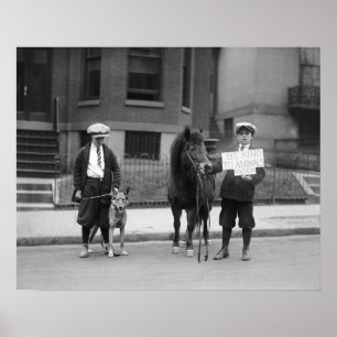 Week van de dierenbescherming, 1923. Oude foto Poster