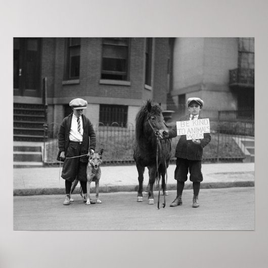 Week van de dierenbescherming, 1923. Oude foto Poster (Voorkant)