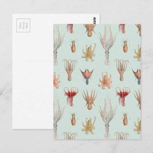  weekdieren (blauw) briefkaart (Voorkant / Achterkant)