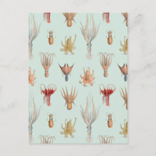 weekdieren (blauw) briefkaart