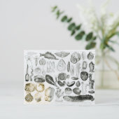 Weekdieren Briefkaart (Staand voorkant)