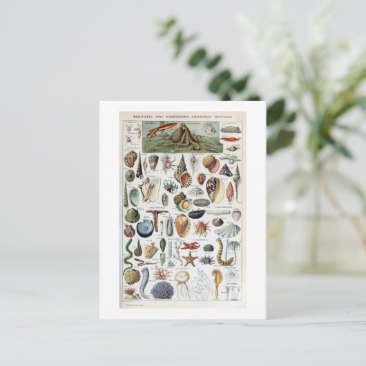 weekdieren briefkaart (Staand voorkant)