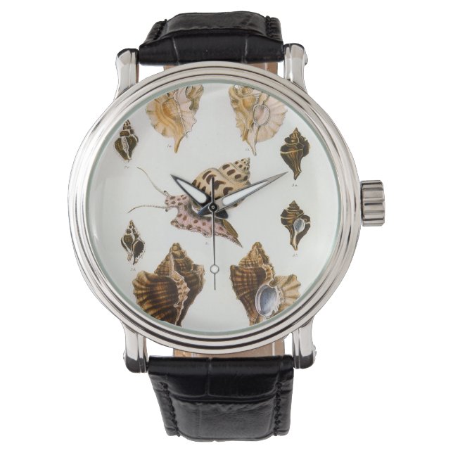  weekdieren en slakken, mariene levende organismen horloge (Voorkant)