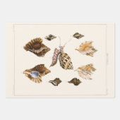 weekdieren en slakken, mariene levende organismen inpakpapier vel (Voorkant 3)