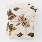  weekdieren en slakken, mariene levende organismen inpakpapier vel (In situ)