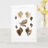  weekdieren en slakken, mariene levende organismen kaart (Gele Bloem)