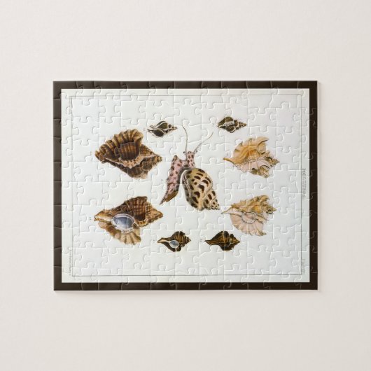  weekdieren en slakken, mariene levende organismen legpuzzel (Horizontaal)