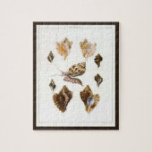  weekdieren en slakken, mariene levende organismen legpuzzel (Verticaal)