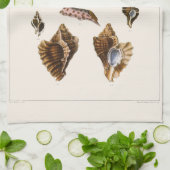  weekdieren en slakken, mariene levende organismen theedoek (Gevouwen)