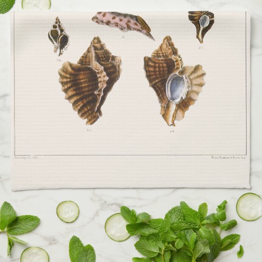  weekdieren en slakken, mariene levende organismen theedoek (Gevouwen)