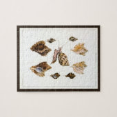 Weekdieren en slakken, Vintage Mariene Levensvorme Legpuzzel (Horizontaal)