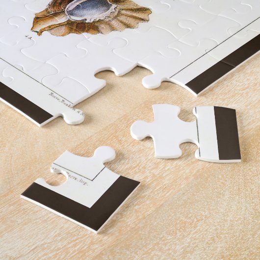 Weekdieren en slakken, Vintage Mariene Levensvorme Legpuzzel (Zijkant)