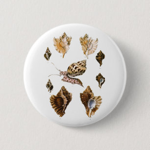 Weekdieren en slakken, Vintage Mariene Levensvorme Ronde Button 5,7 Cm