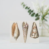 Weekdieren  geïllustreerd briefkaart (Staand voorkant)