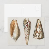 Weekdieren  geïllustreerd briefkaart (Voorkant / Achterkant)