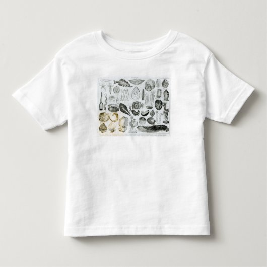 Weekdieren Kinder Shirts (Voorkant)