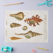  weekdieren ontkoppelen tissuepapier (Craft)