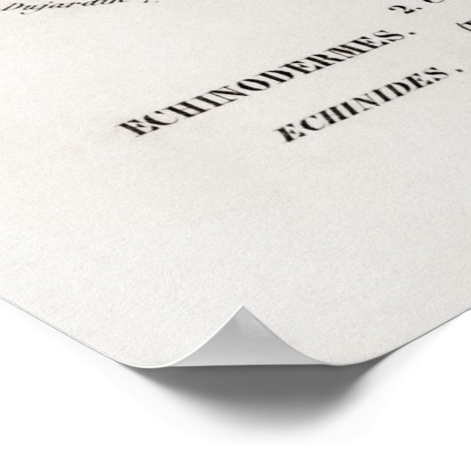  weekdierillustratie poster (Hoek)