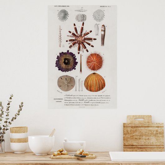  weekdierillustratie poster (Keuken)