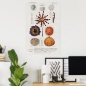 weekdierillustratie poster (Thuiskantoor)