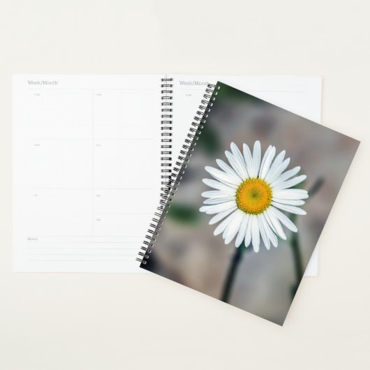 Weekelijks één dag/Maandelijkse Planner (Display)