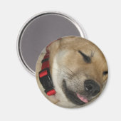 Weekend Dexter Bebe Magnet (Voorkant / Achterkant)