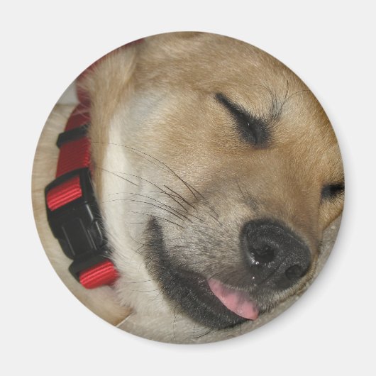 Weekend Dexter Bebe Magnet (Voorkant)